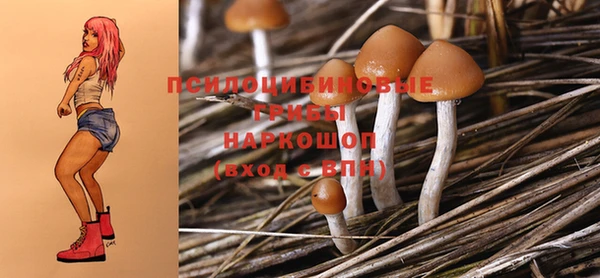 таблы Алексин