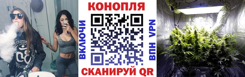 сайты даркнета состав  Спасск-Рязанский  Каннабис конопля 